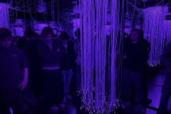 IMG_6517